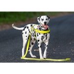 DOG HARNESSES