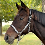 Horse Zebra Items