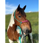 ROPE HALTERS