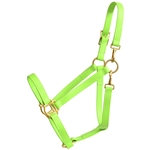 MULE HALTERS