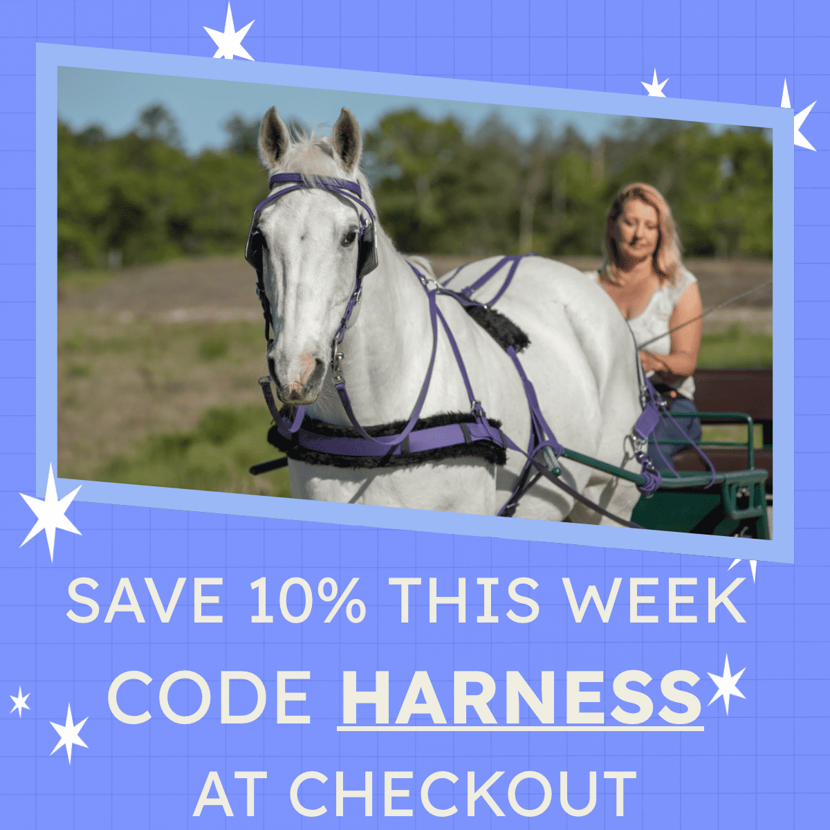 harness on discount at Two Horse Tack