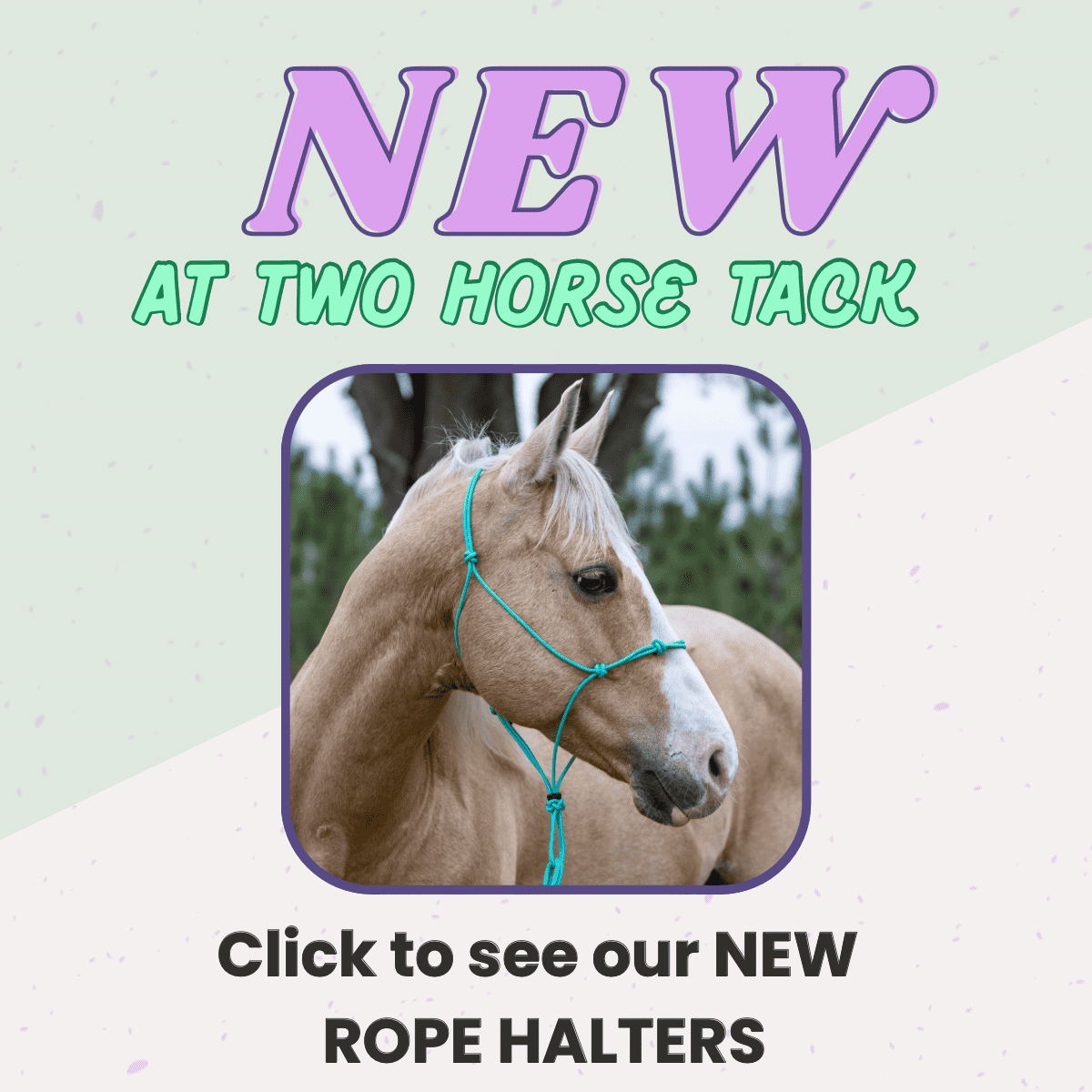 new items at two horse tack