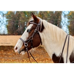 blue BETA BIOTHANE Sidepull Bitless Bridle