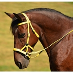 yellow BETA BIOTHANE Sidepull Bitless Bridle