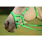 limegreen BETA BIOTHANE Sidepull Bitless Bridle