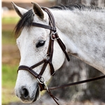 Bitless Bridles