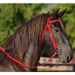 red BETA BIOTHANE Australian Barcoo Outrider Aussie Bridle