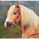 pink BETA BIOTHANE Australian Barcoo Outrider Aussie Bridle