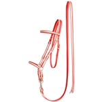 REFLECTIVE Western Style Bitless Bridle