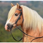 blackleather LEATHER Australian Barcoo Outrider Aussie Bridle