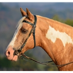 WESTERN BRIDLE (Full Browband) made with CAMOUFLAGE Beta Biothane