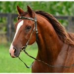 greencamo CAMOUFLAGE Western Bridle with Full Browband