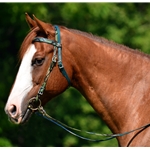 greencamo CAMOUFLAGE Western Bridle with Full Browband