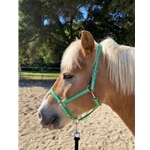 betabiothanecolors REFLECTIVE Turnout Halter