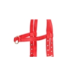 ENGLISH BRIDLE made from Beta Biothane (Solid Colored)