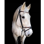 ENGLISH BRIDLE WITH CAVESSON MADE WITH BETA BIOTHANE AND BLING