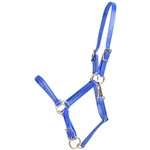 Apple Green Beta Biothane Halter - Any Size, Any Style
