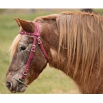 Pony Size Beta Biothane Bridle - Your Choice on Style
