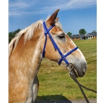 Draft Size Beta Biothane Bridle - Your Choice on Style