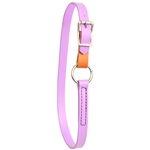 Mini Horse Size Beta Biothane Horse Neck Collar - Any Style