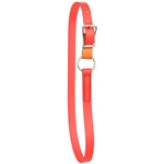 Draft Horse Size Beta Biothane Horse Neck Collar - Any Style