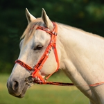 orangecamo CAMOUFLAGE Halter Bridle with Bit Hangers