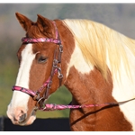 Quick Change HALTER BRIDLE with Snap on Browband with CAMOUFLAGE Beta Biothane