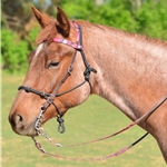 pinkcamo CAMOUFLAGE Quick Change Halter Bridle with Snap on Browband