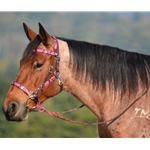 pinkcamo CAMOUFLAGE Quick Change Halter Bridle with Snap on Browband