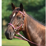 pinkcamo CAMOUFLAGE Quick Change Halter Bridle with Snap on Browband