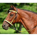 2 in 1 Bitless BRIDLE with REFLECTIVE DAY GLOW Beta BIOTHANE