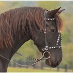 MEDIEVAL BAROQUE WAR or PARADE BRIDLE with reins Beta Biothane