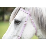 WESTERN BRIDLE (Full Browband) made from BETA BIOTHANE (Solid Colored