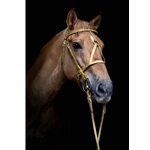 MEDIEVAL BAROQUE WAR or PARADE BRIDLE with reins Beta Biothane