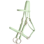 ****PHOTO SAMPLE*** $30 Sage Green Beta Biothane Halter Bridle with Bit Hangers Headstall - Horse Size