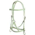 ****PHOTO SAMPLE*** $30 Sage Green War Bridle Headstall - Horse Size