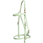 ****PHOTO SAMPLE*** $20 Sage Green Beta Biothane Mule Bridle Headstall with noseband - Standard Mule/Horse Size