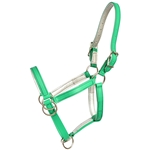 ****PHOTO SAMPLE*** $30 Kelly Green Beta Biothane with Silver Metallic Leather Padding Pack Horse Halter - Horse Size