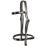 ****PHOTO SAMPLE*** $30 Black Beta Biothane with Texas Star Conchos English Bridle Headstall - Horse Size