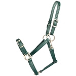 ****PHOTO SAMPLE*** $25 Hunter Green Beta Biothane Buckle Nose Halter - Large Pony Size