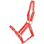 ****PHOTO SAMPLE*** $25 Red Beta Biothane Buckle Nose Halter - Large Pony Size