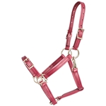 ****PHOTO SAMPLE*** $25 Wine/Maroon Beta Biothane Buckle Nose Halter - Large Pony Size