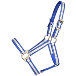 ****PHOTO SAMPLE*** $15 Blue Reflective Beta Biothane Foal Halter