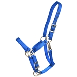 ****PHOTO SAMPLE*** $10 Royal Blue Nylon Foal Halter with adjustable chin and throatlatch snap