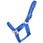 ****PHOTO SAMPLE*** $10 Royal Blue Nylon Foal Halter