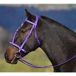 purple MEDIEVAL BAROQUE WAR or PARADE BRIDLE made from BETA BIOTHANE (Solid Colored) 