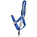 ****PHOTO SAMPLE*** $20 Royal Blue Nylon No Pullback Halter - Horse Size
