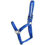 ****PHOTO SAMPLE*** $15 Royal Blue Nylon Halter - Horse Size