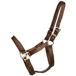 ****PHOTO SAMPLE*** $10 Brown Nylon Halter - Horse Size