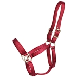 ****PHOTO SAMPLE*** $10 Burgundy Nylon Halter - Horse Size